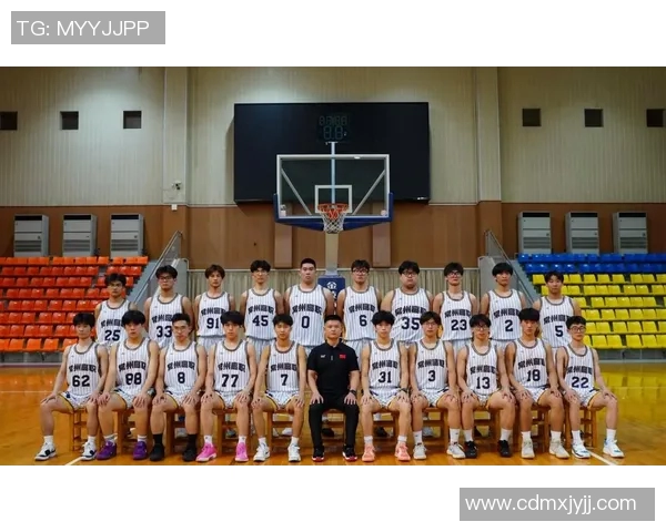 CBA赛季关键比赛战术调整与实际效果分析及影响因素探讨